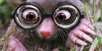 taupe lunettes taupe lunettes